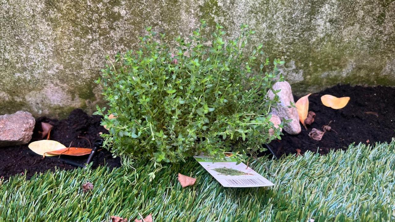 Garden Suite Μπολζάνο Εξωτερικό φωτογραφία