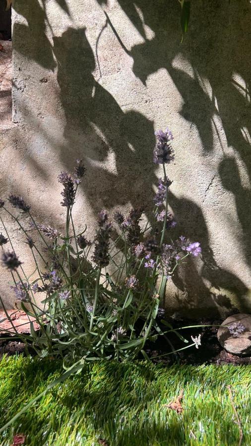 Garden Suite Μπολζάνο Εξωτερικό φωτογραφία