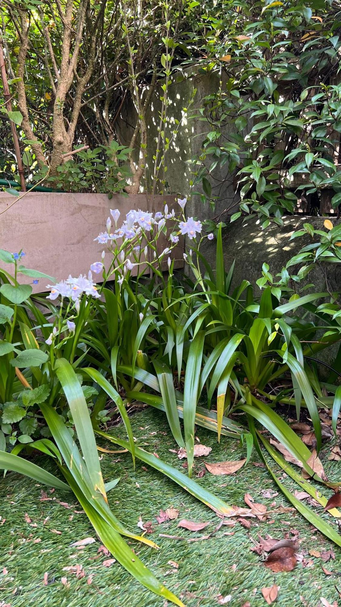 Garden Suite Μπολζάνο Εξωτερικό φωτογραφία