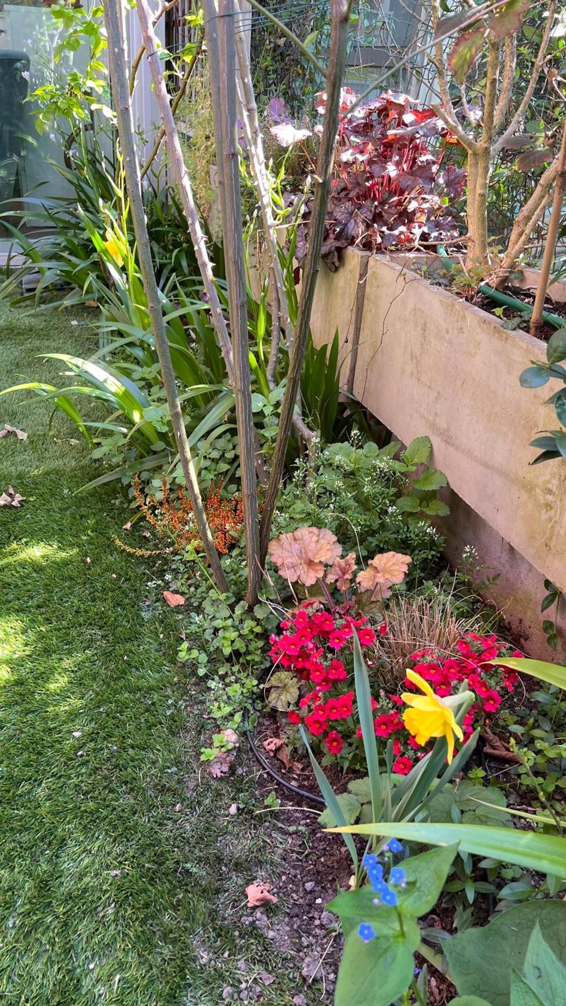 Garden Suite Μπολζάνο Εξωτερικό φωτογραφία